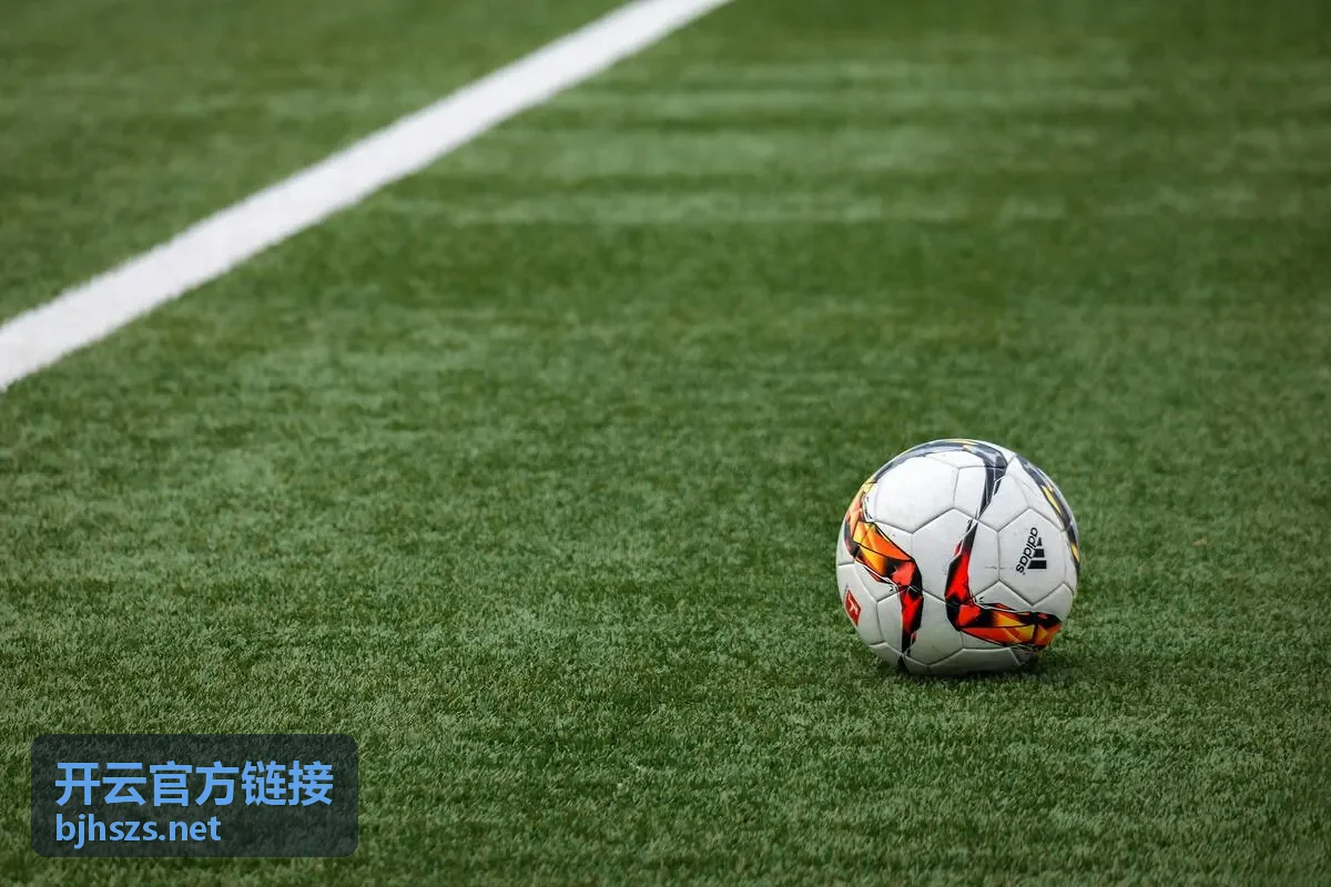 开云官方链接核验流程示意